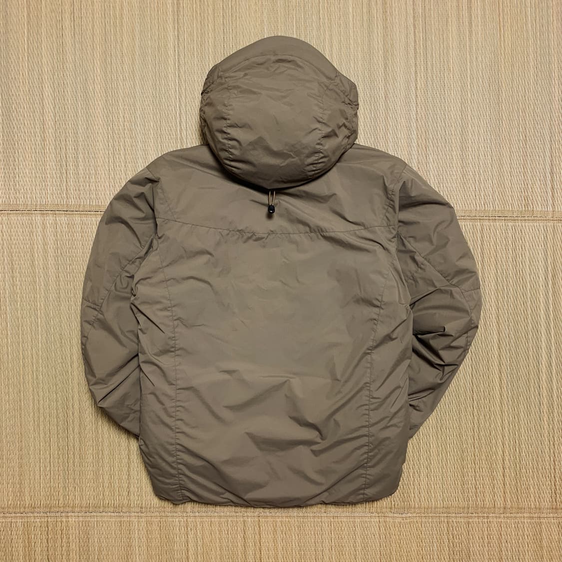 아크테릭스 리프 콜드 WX 자켓 SV 크로커다일 상품이미지2