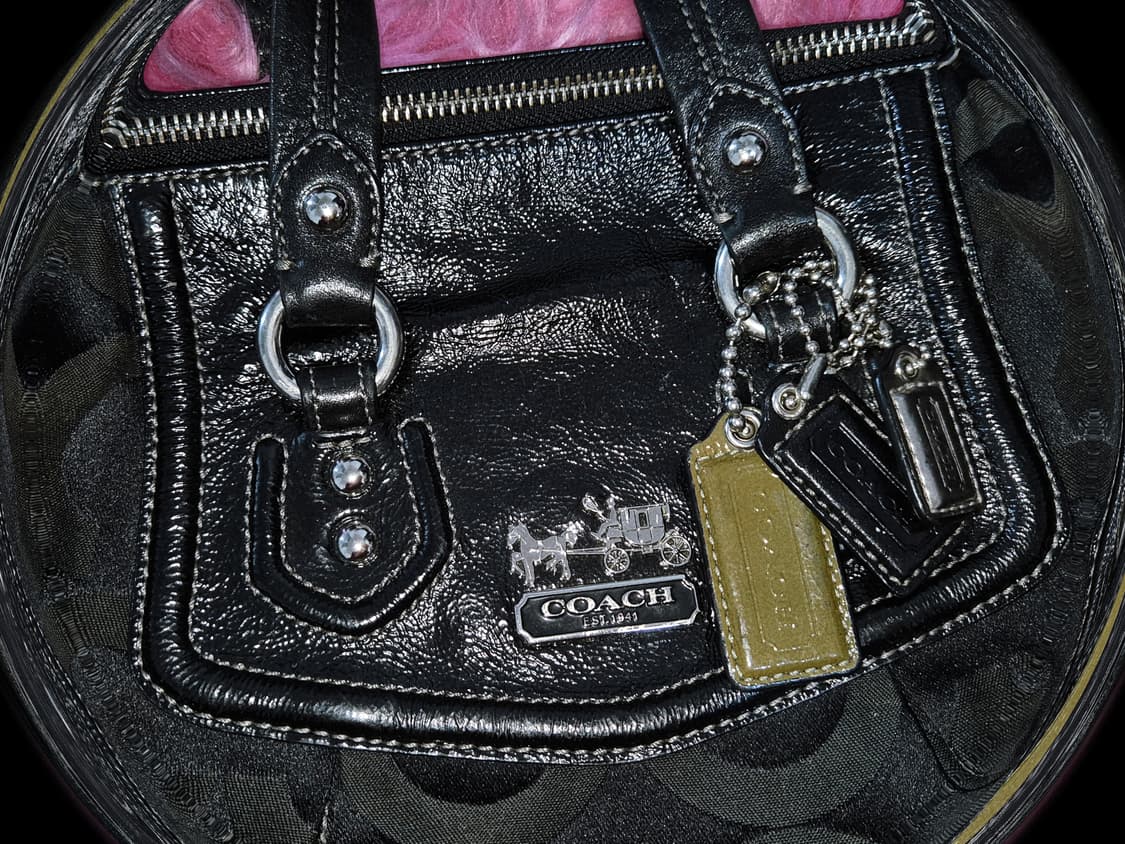 COACH 2000s Black mini Buckle Monogram 상품이미지2