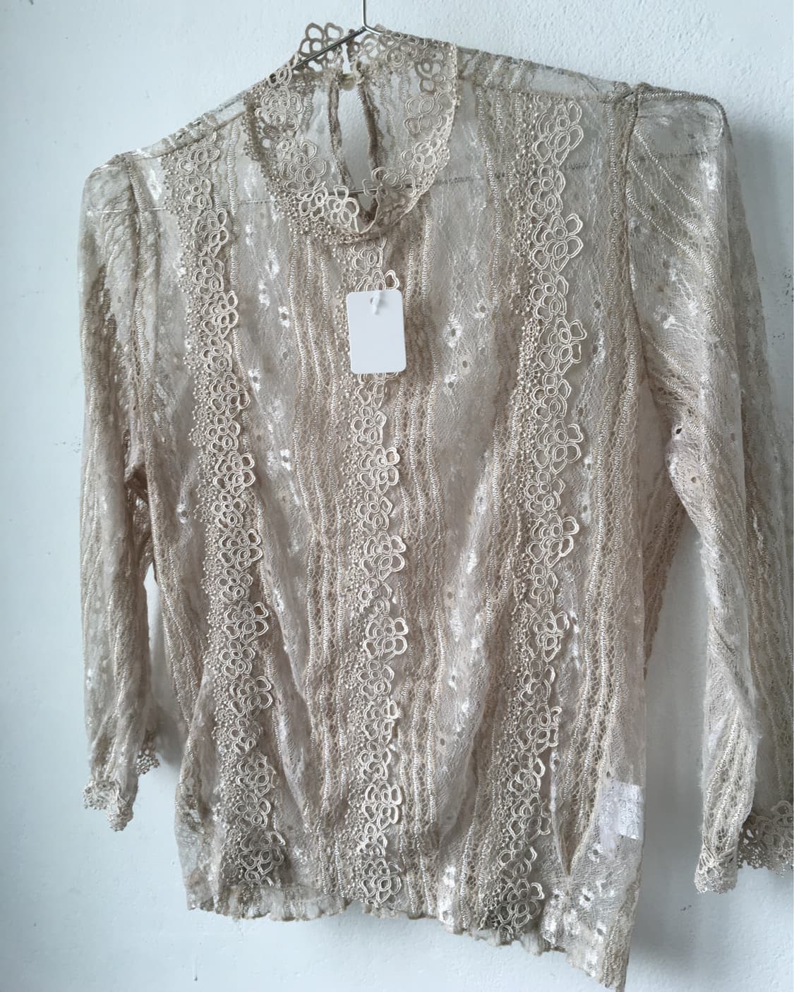 Lace see throngh blouse 상품이미지5