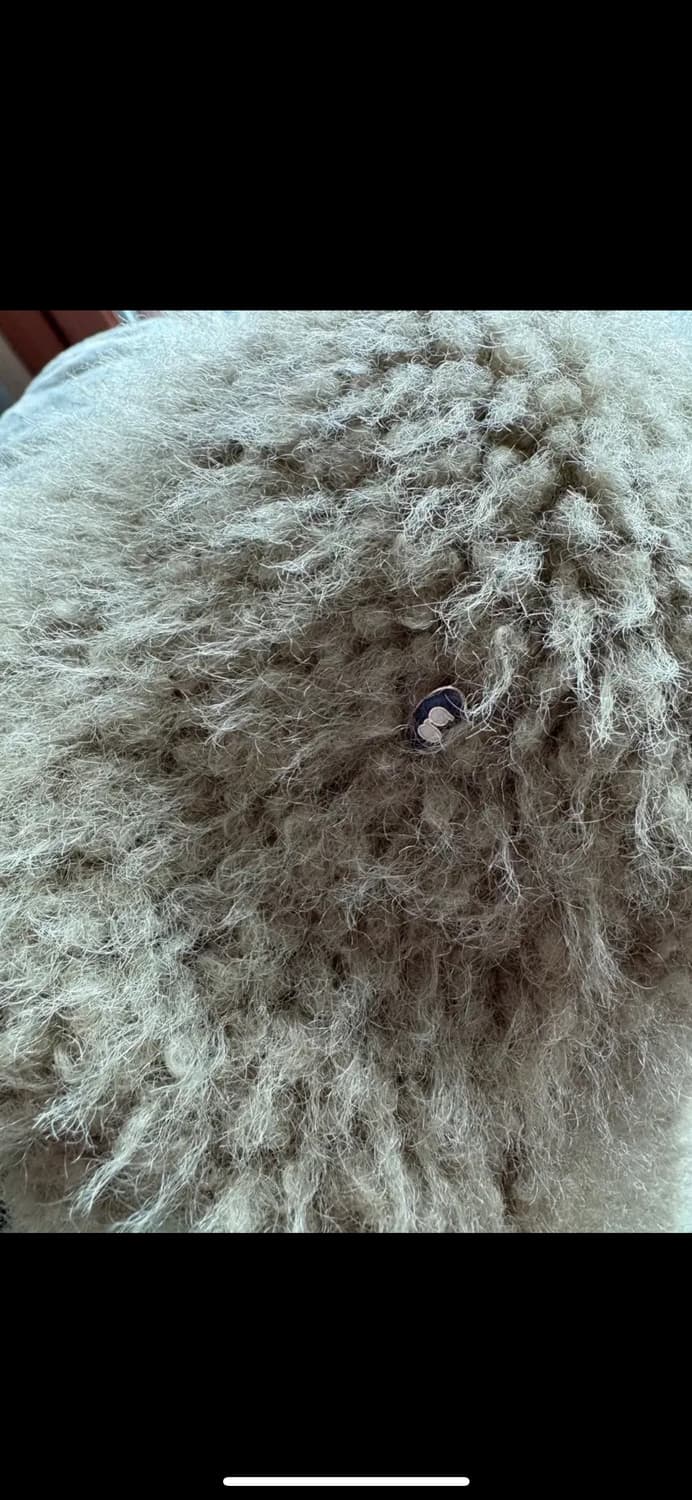 고로고라 버킷햇 상품이미지2