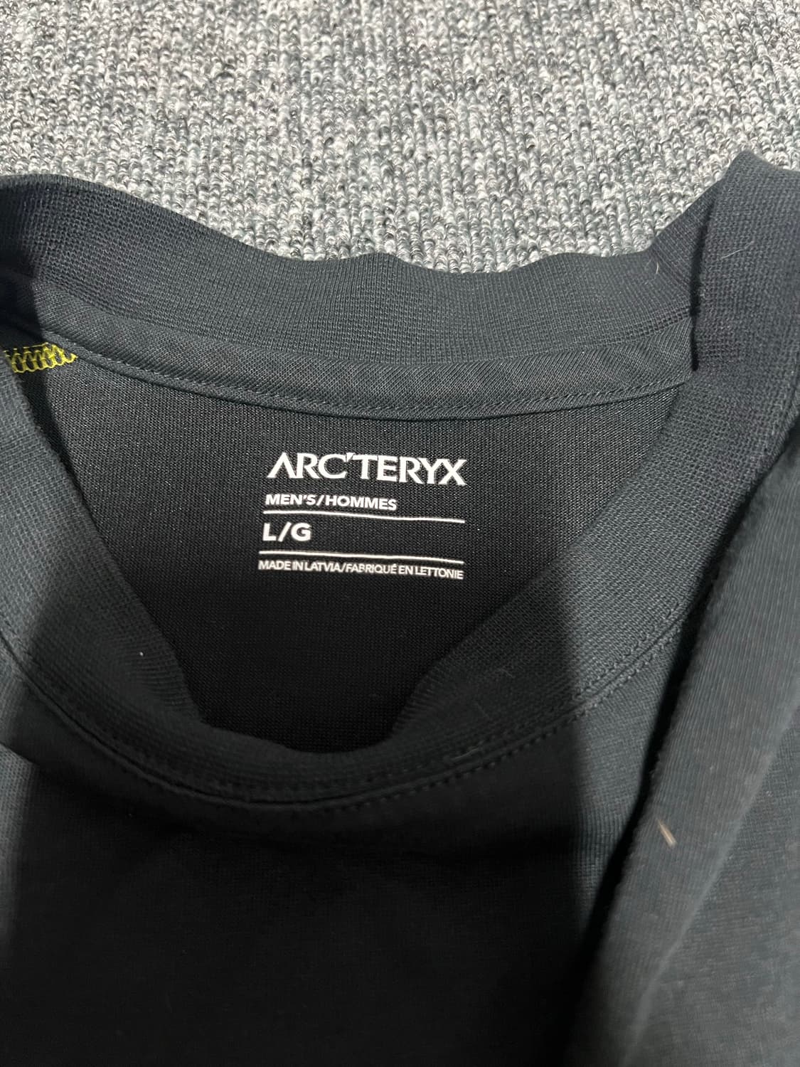 [L] 아크테릭스 시스템 A 코팔 롱슬리브 버드 티셔츠 테라리움 상품이미지4