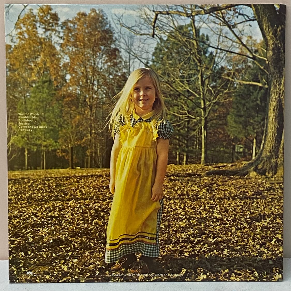 (LP) The Allman Brothers Band - Brothers 상품이미지2