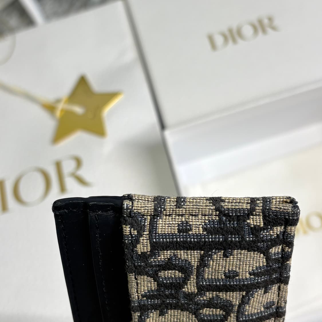 디올 오블리크 몽테인 30 카드지갑 상품이미지3