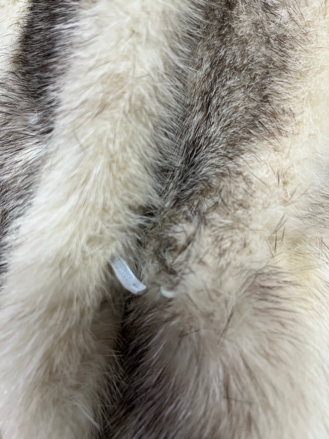 진도 Sagamink 통 밍크 코트 상품이미지4