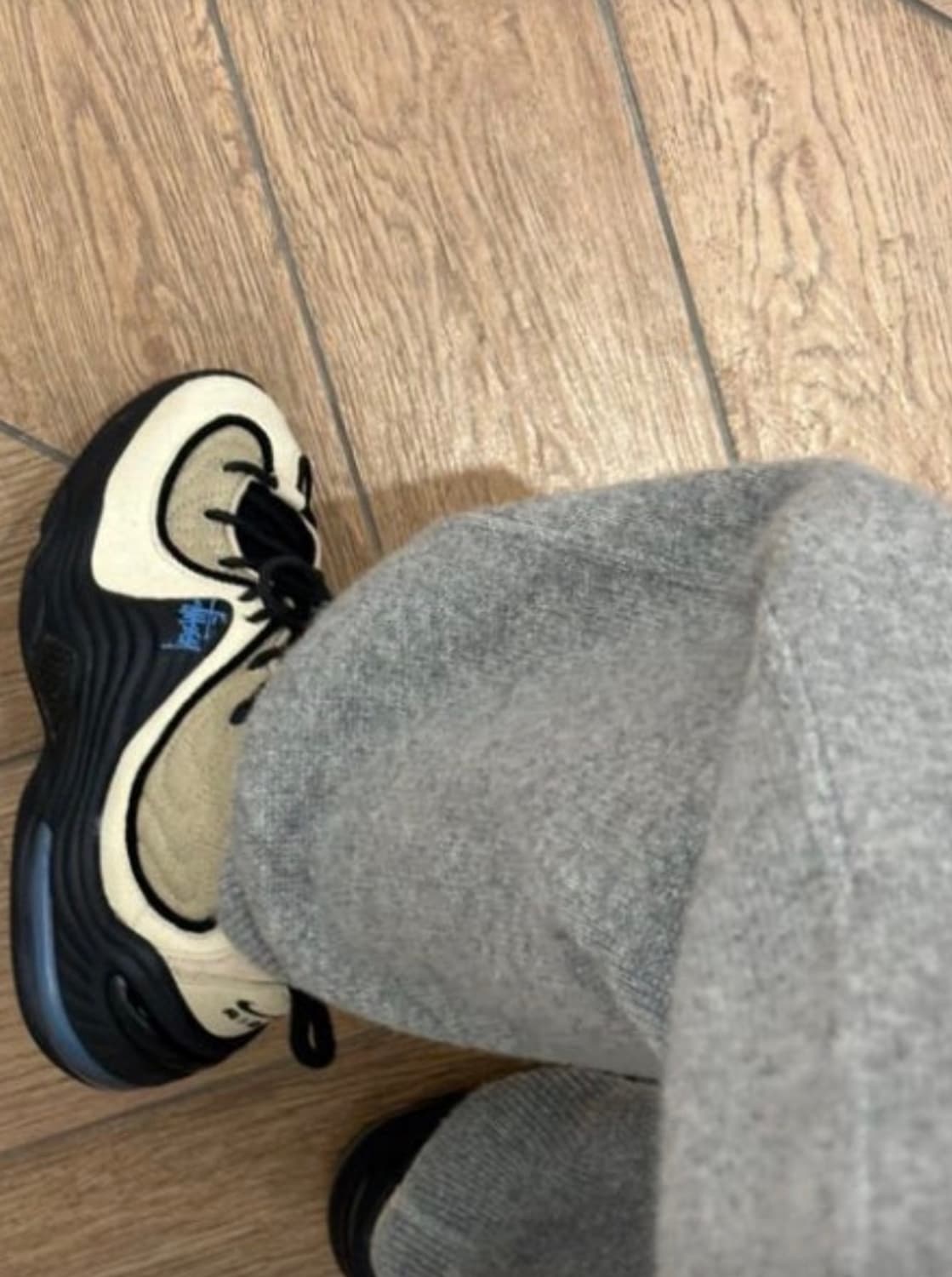 나이키 x 스투시 에어 페니2 라탄 225 상품이미지2