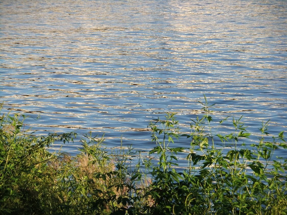 📸 후지필름 FinePix F80EXR 빈티지 디카 상품이미지8