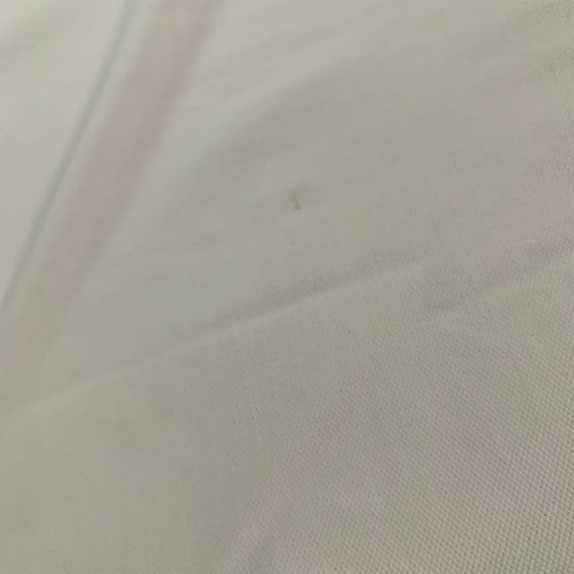 L) Masion kitsune 메종키츠네 PK 카라티 상품이미지9
