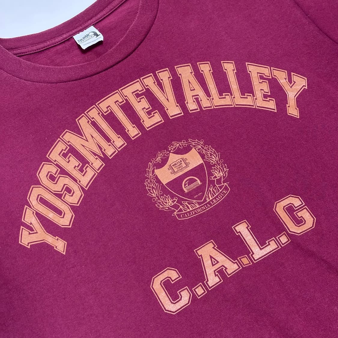 요세미티 밸리(Yosemite Valley) C.A.L.G 그래픽 티셔츠 상품이미지2