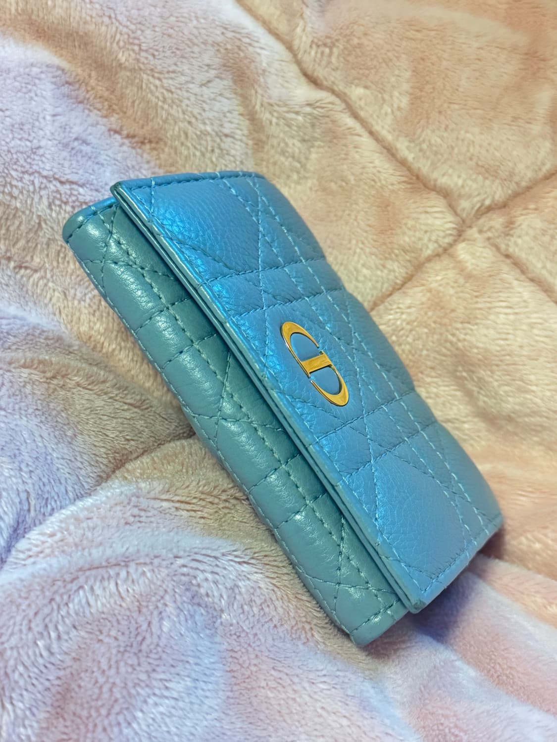 디올 카로 글리신 클라우드 블루 반지갑 상품이미지2