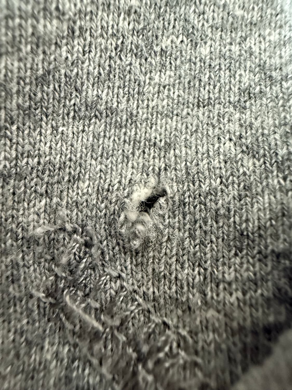 데우스 엑스 마키나 베니스 후드티 그레이 (xl) 상품이미지4