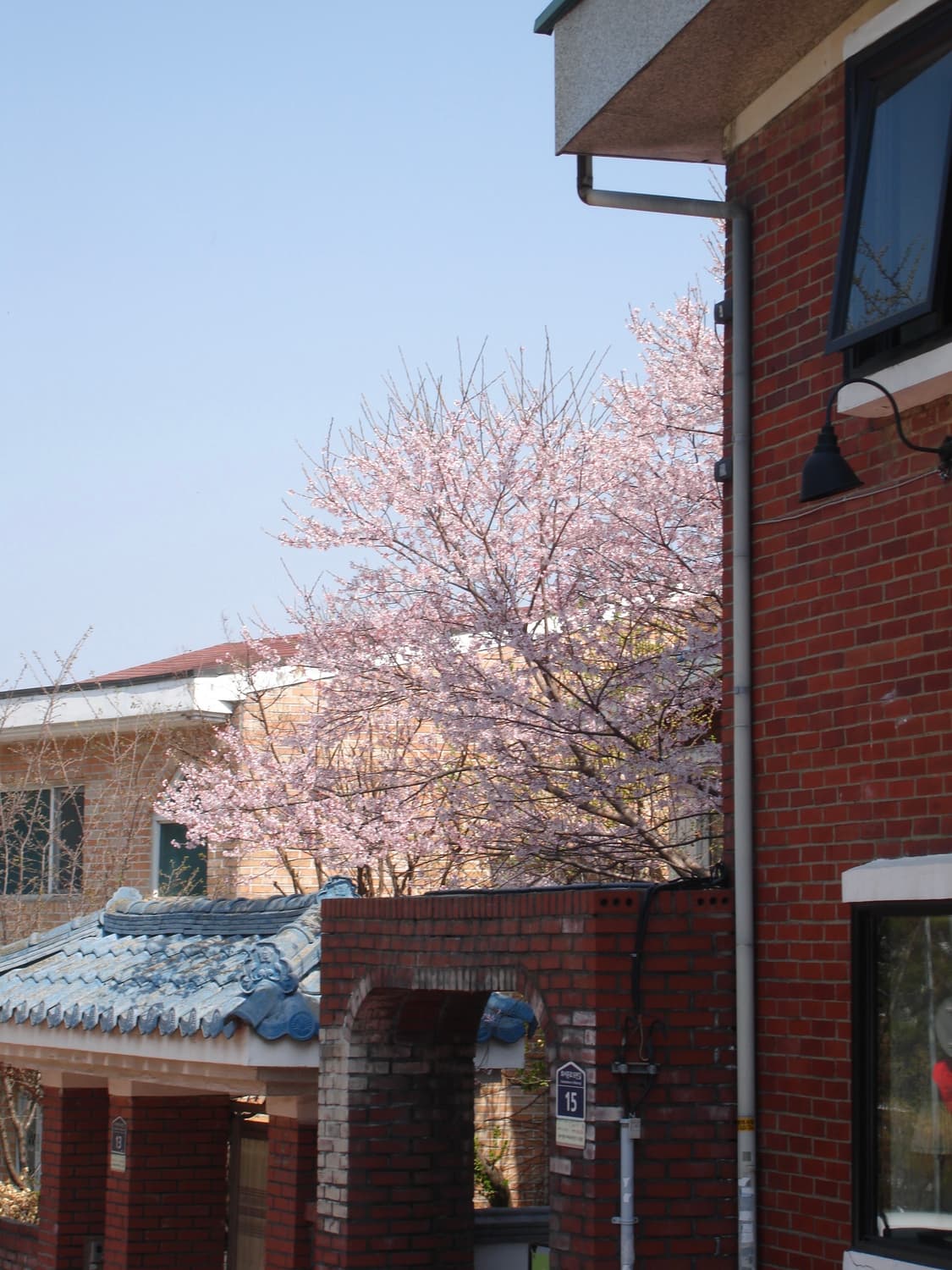 입문&강추!) Sony Cyber-shot HX5 디카 카메라 상품이미지3