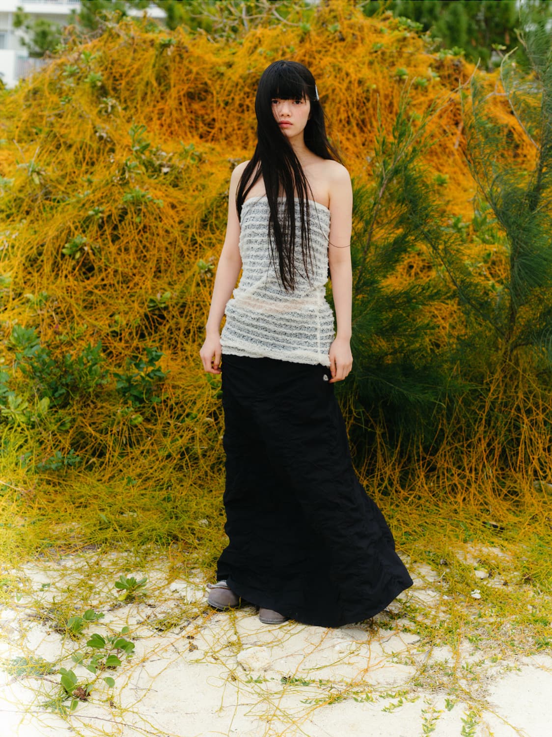 코이세이오 레이스탑 상품이미지6