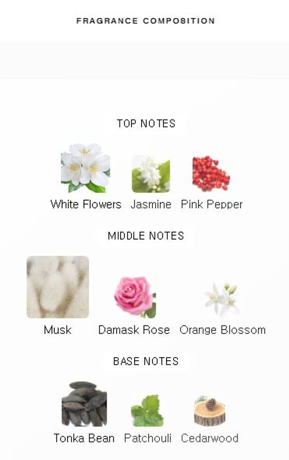 나르시소 로드리게즈 포 허 머스크 누드 오드퍼퓸 EDP 100ml 향수  상품이미지4