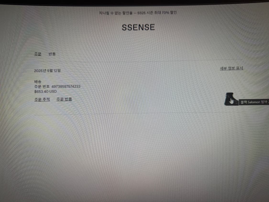 보리스비잔사베리 살로몬 밤바2gtx v2 상품이미지6