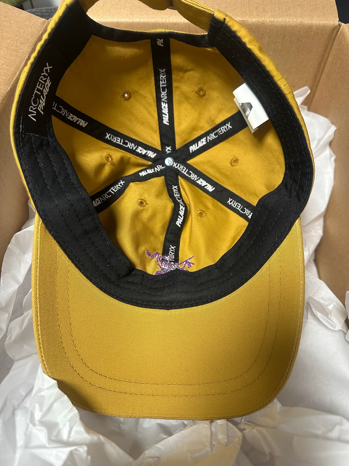아크테릭스 팔라스 20fw 6패널 캡 골드 상품이미지3
