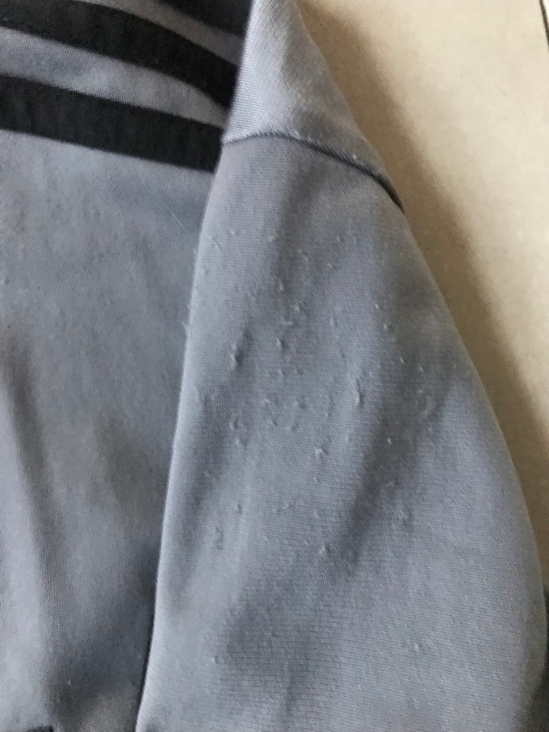 아디다스 그레이 구파이어버드 져지 상품이미지8