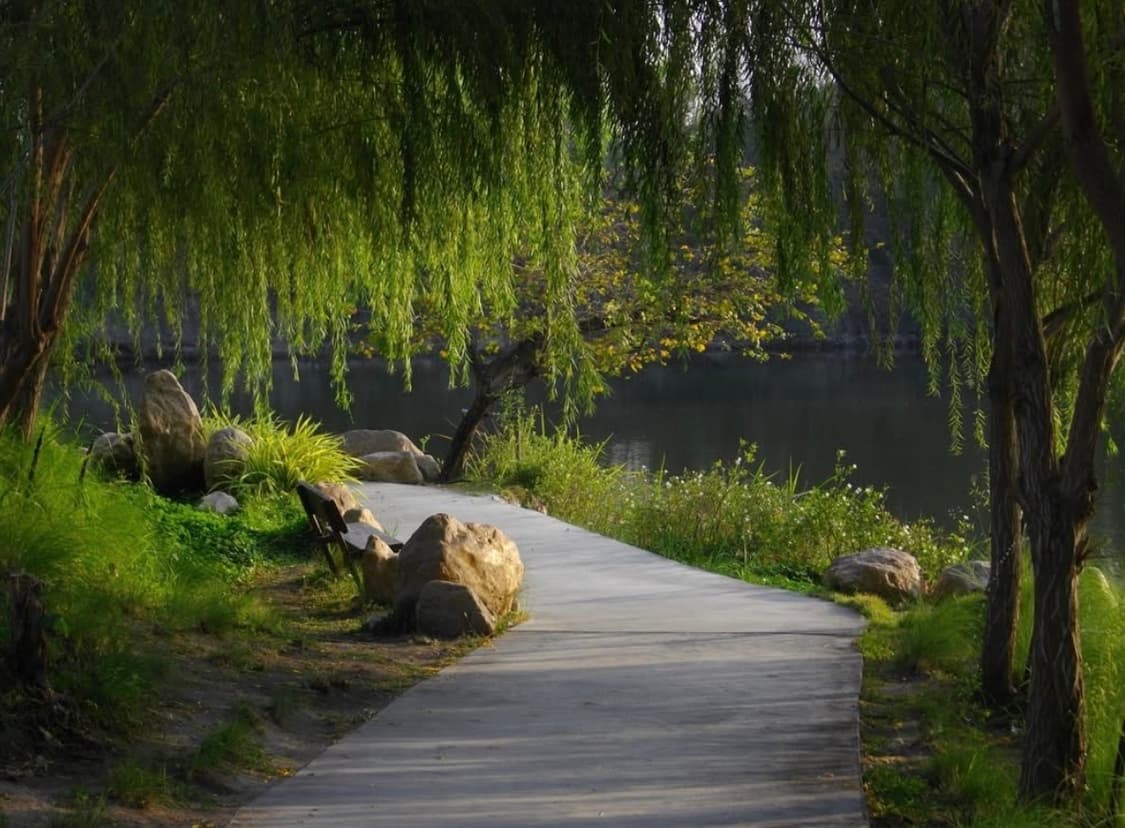 📸 펜탁스 Optio E60 빈티지 디지털카메라 판매 상품이미지2