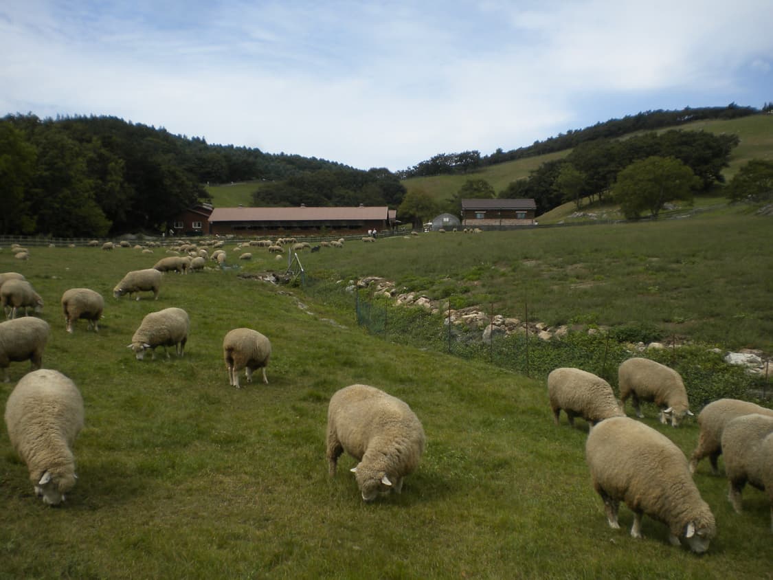 (작례O) 니콘 쿨픽스 S220 디지털카메라 빈티지디카 상품이미지7