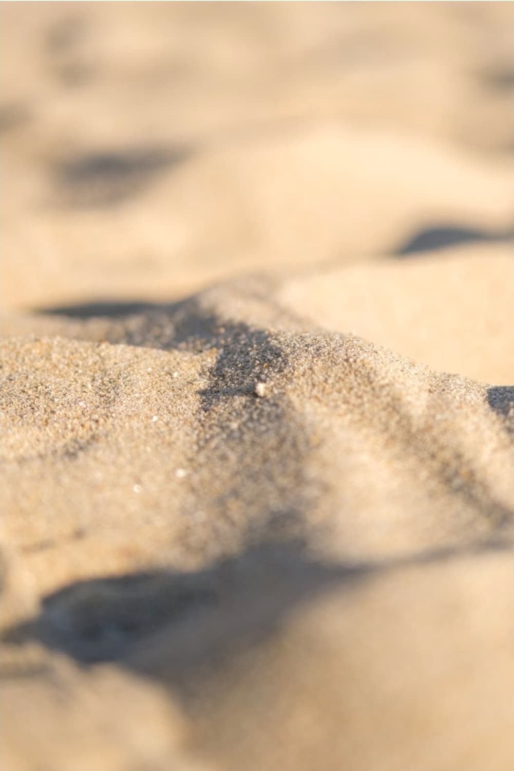 후지필름 X-E4 블랙 카메라 판매(작례 있음) 상품이미지6