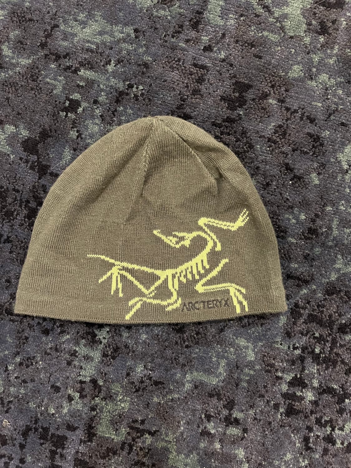 아크테릭스 비니 상품이미지1