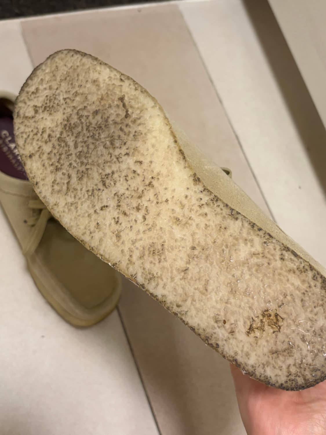 클락스 와랄비 메이플 스웨이드 245 상품이미지4