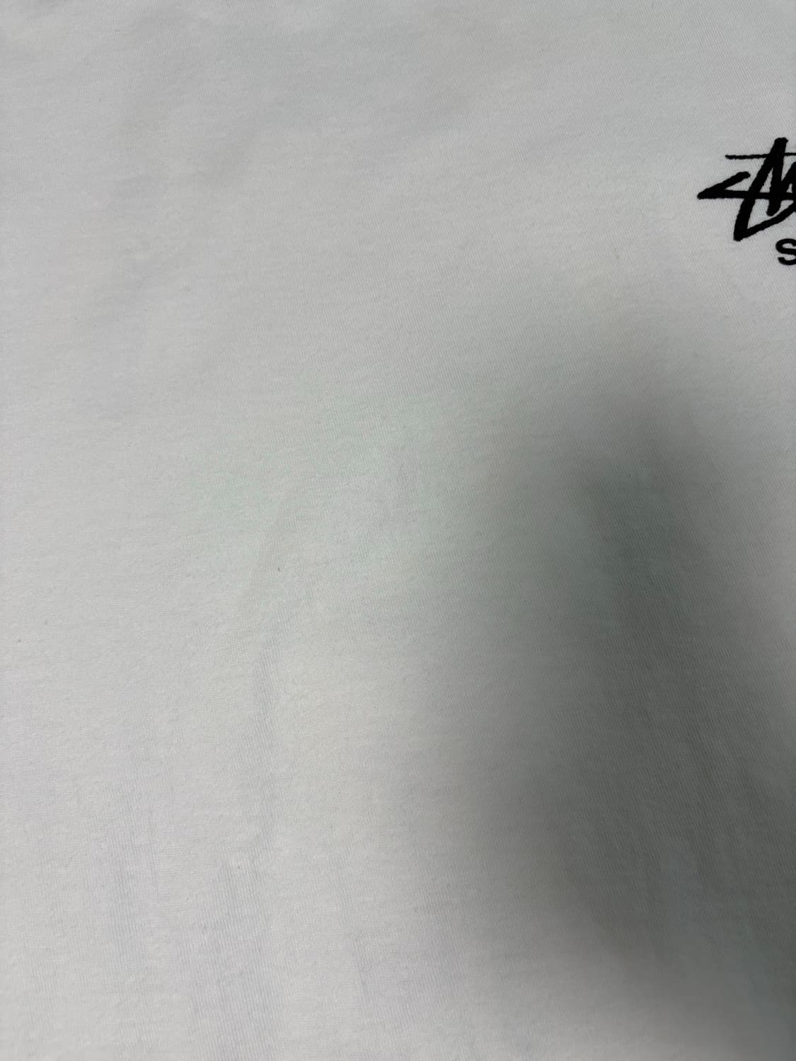 스투시 부케 티 스프링20 반팔 티셔츠 L 상품이미지7