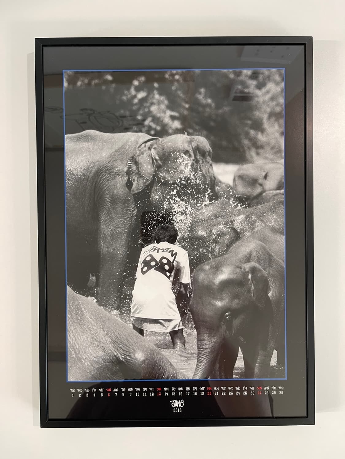 스투시 30주년 한정판 아트 포스터 캘린더 June 상품이미지1