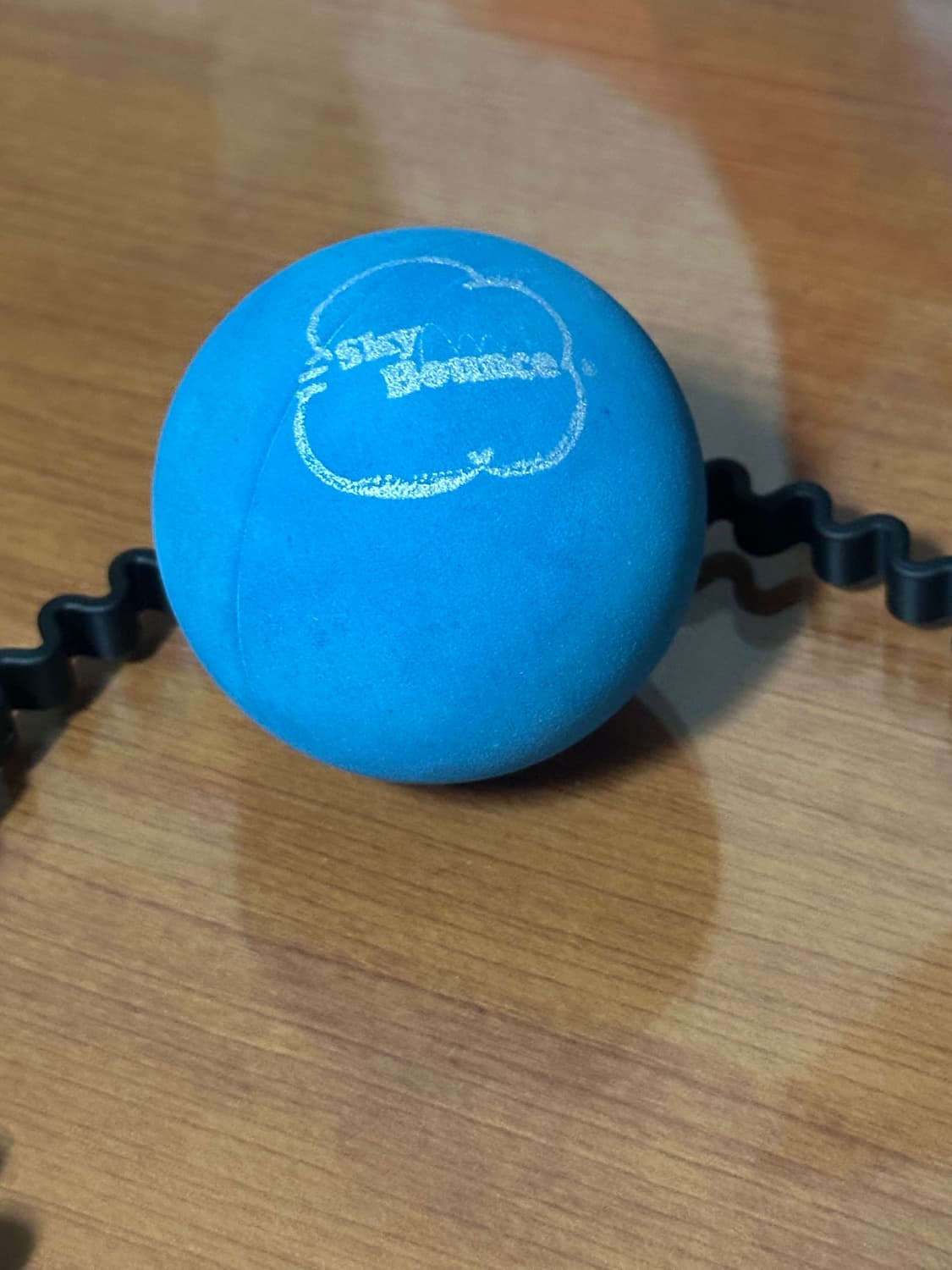 슈프림 16ss 탱탱볼 (blue) 상품이미지3