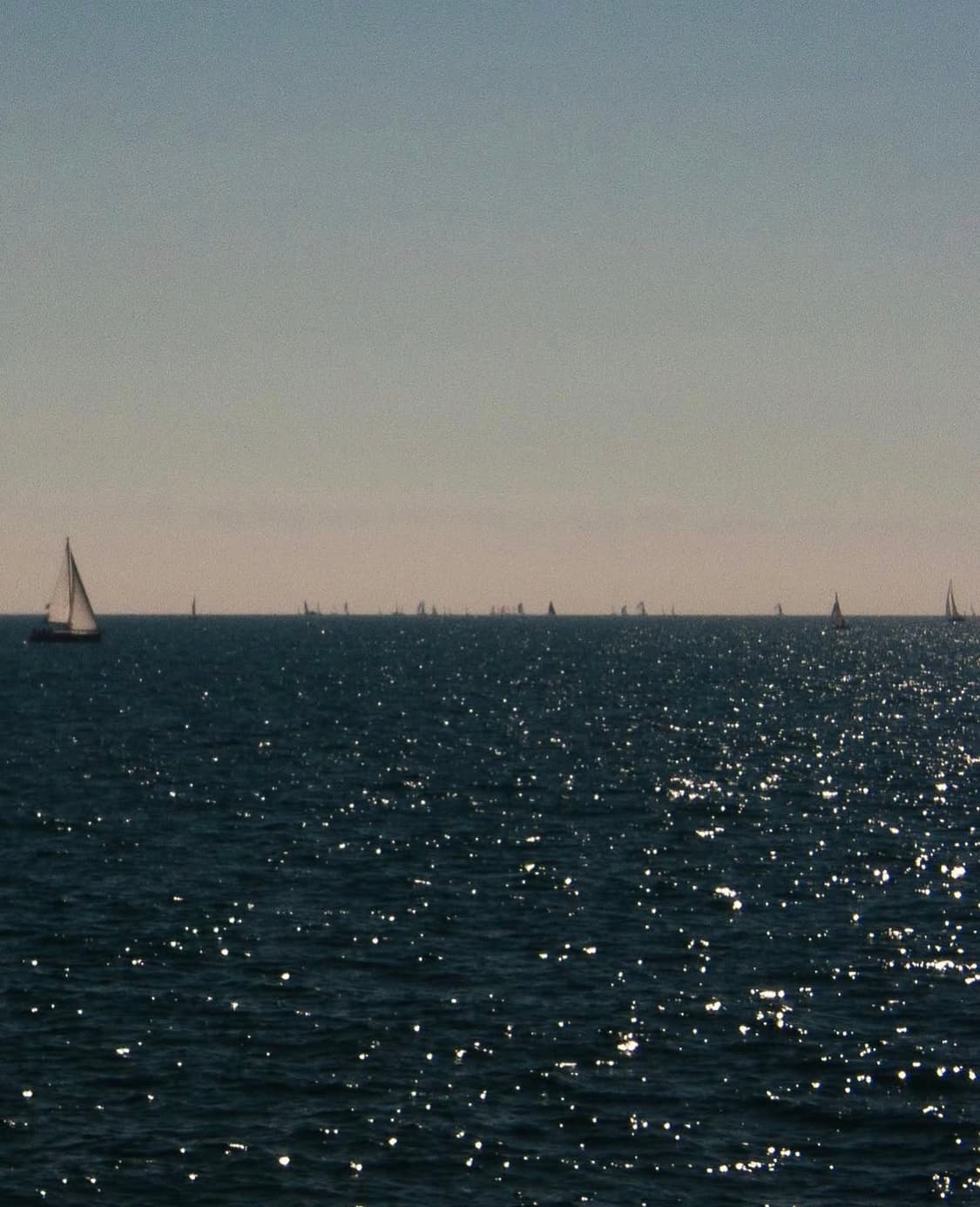 올림푸스 카메디아 d550 줌 디지털카메라 상품이미지8