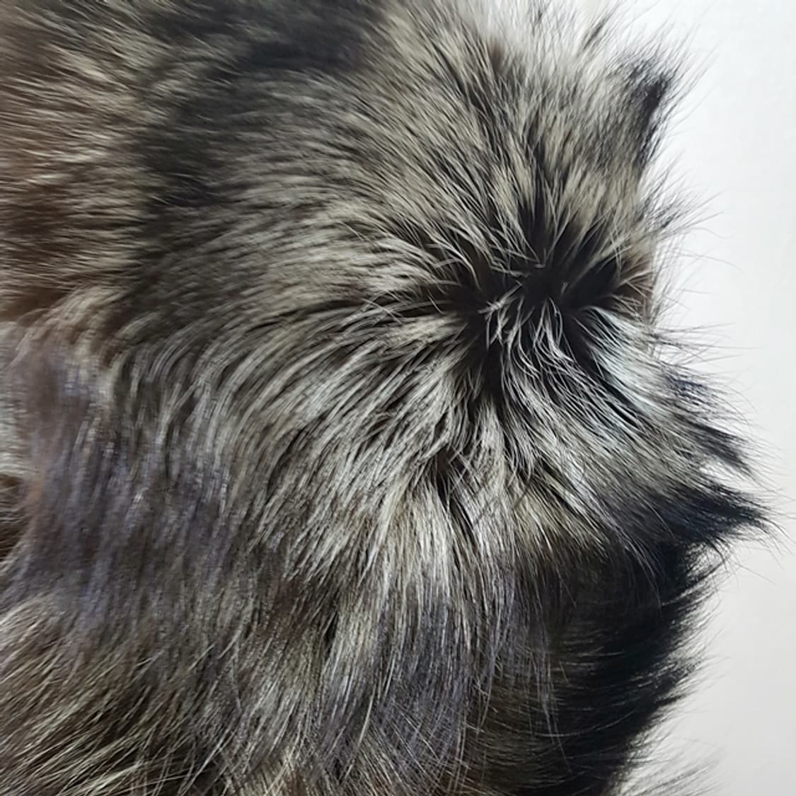 SAGA FOX 폭스 모피 머플러 상품이미지3