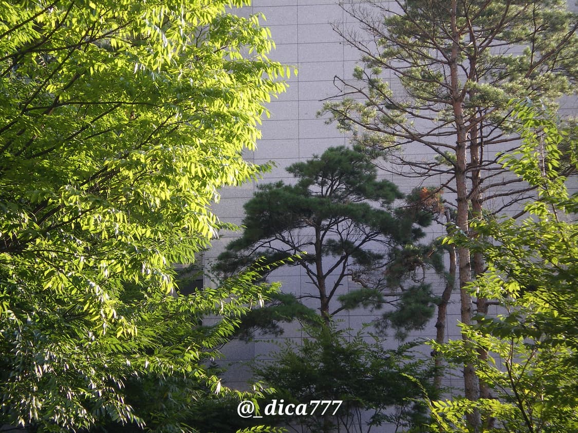 펜탁스 옵티오 M30 디카 상품이미지6