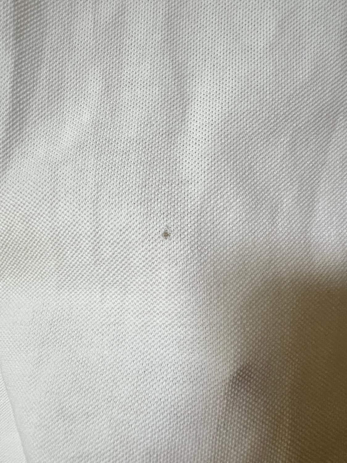 버버리 브릿 화이트 pk 카라티 L 상품이미지5