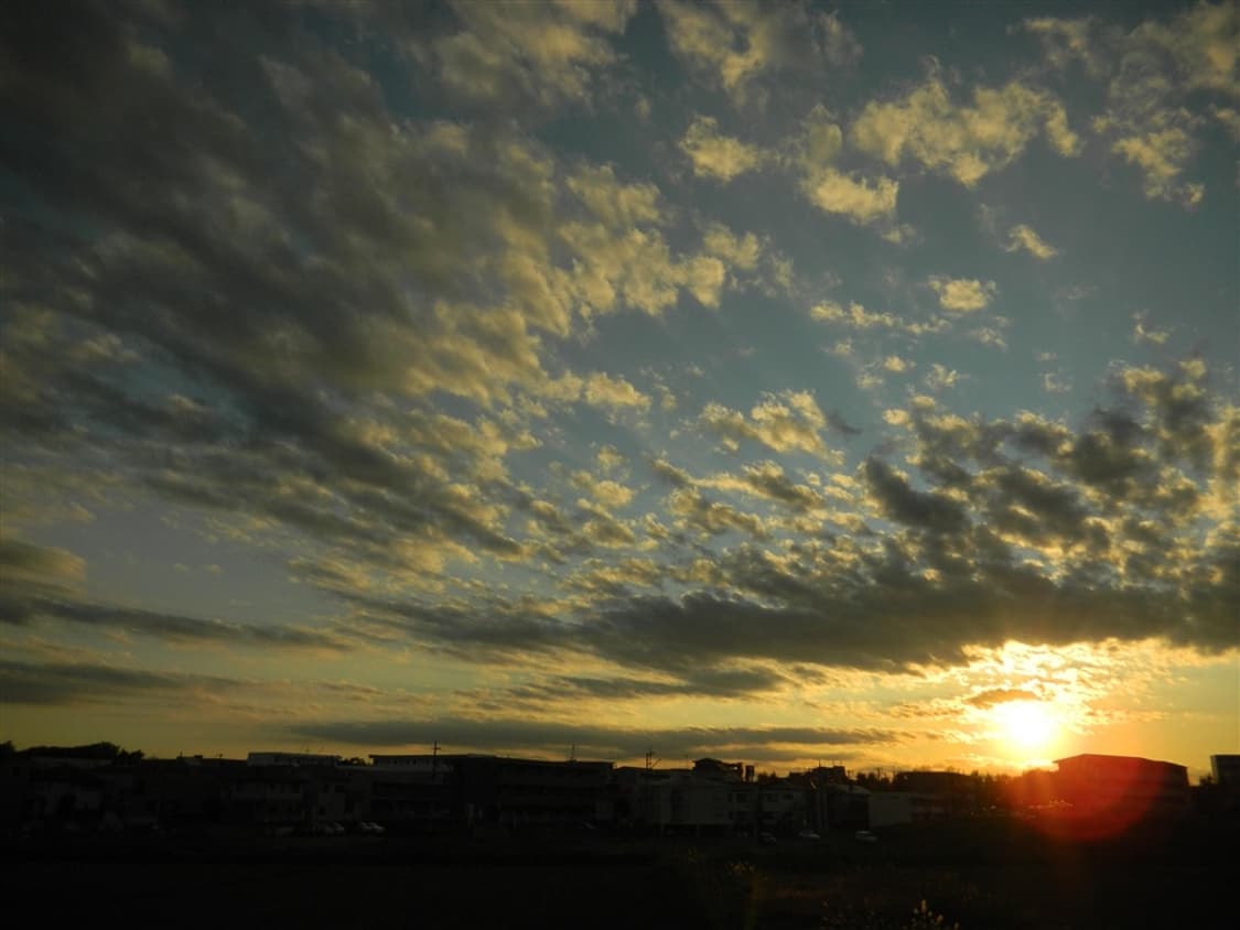 니콘 쿨픽스 Nikon COOLPIX S1200pj 핑크 상품이미지3