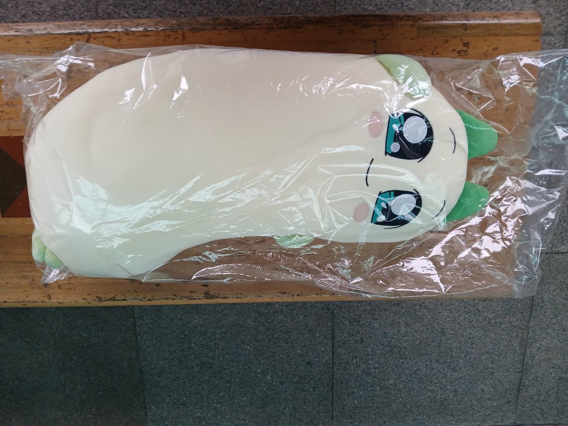 꼭 안아줘요 양파쿵야 바디필로우 팝니다 상품이미지1