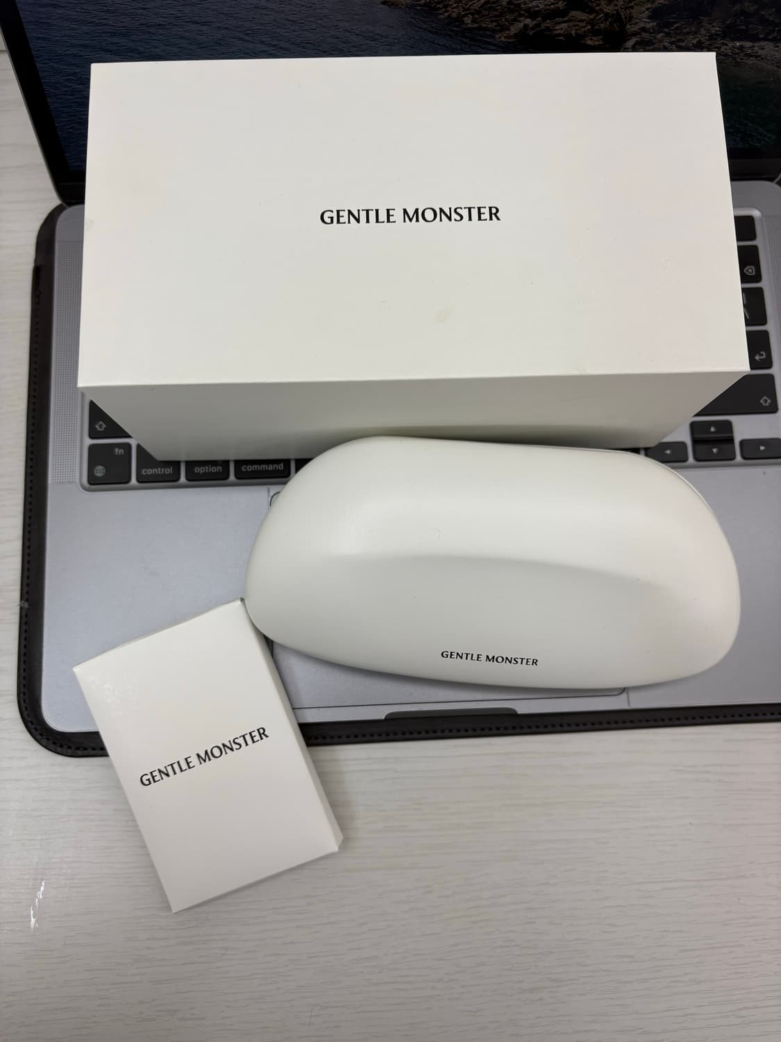 젠틀몬스터 리버티 X 02 (단종제품) 상품이미지2