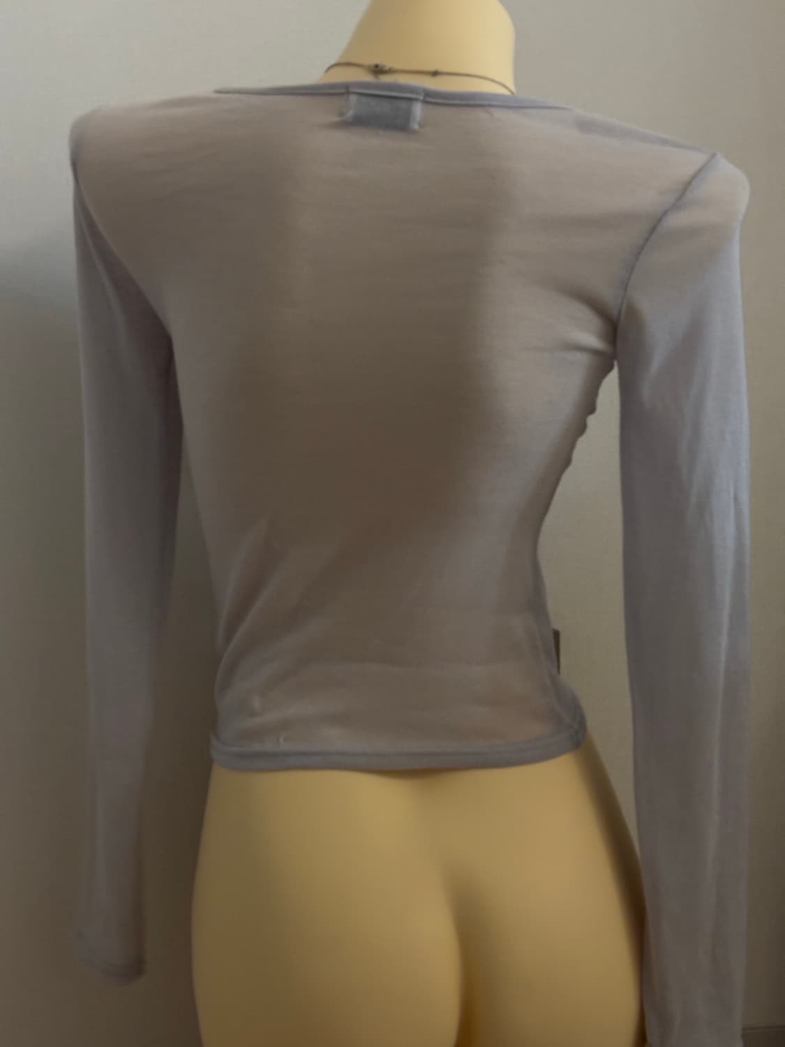 시스루 딱붙 롱슬리브 상품이미지2