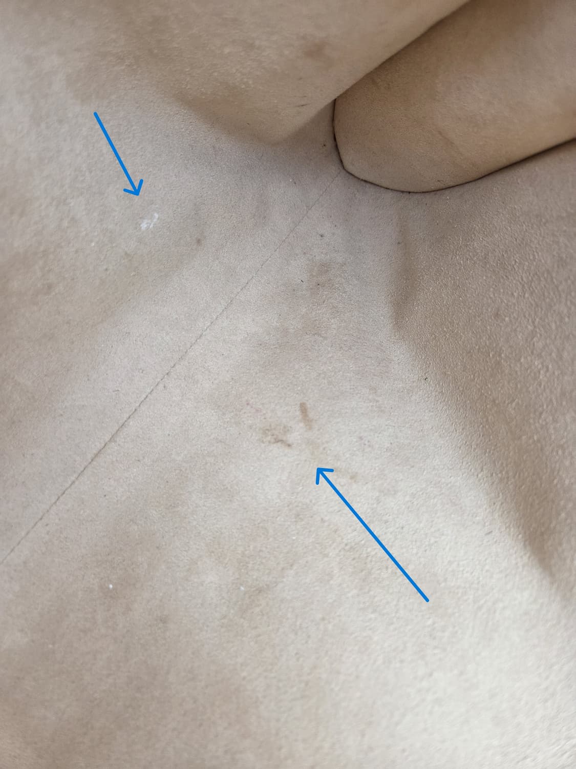 구찌 GG 타이거 헤드 라자 숄더 537219 상품이미지7