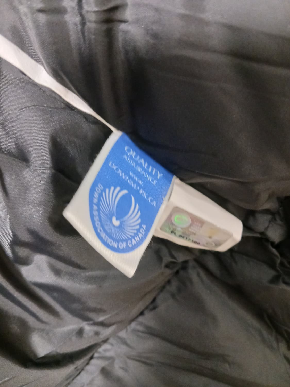 캐나다구스 켄싱턴 다운파카 상품이미지5