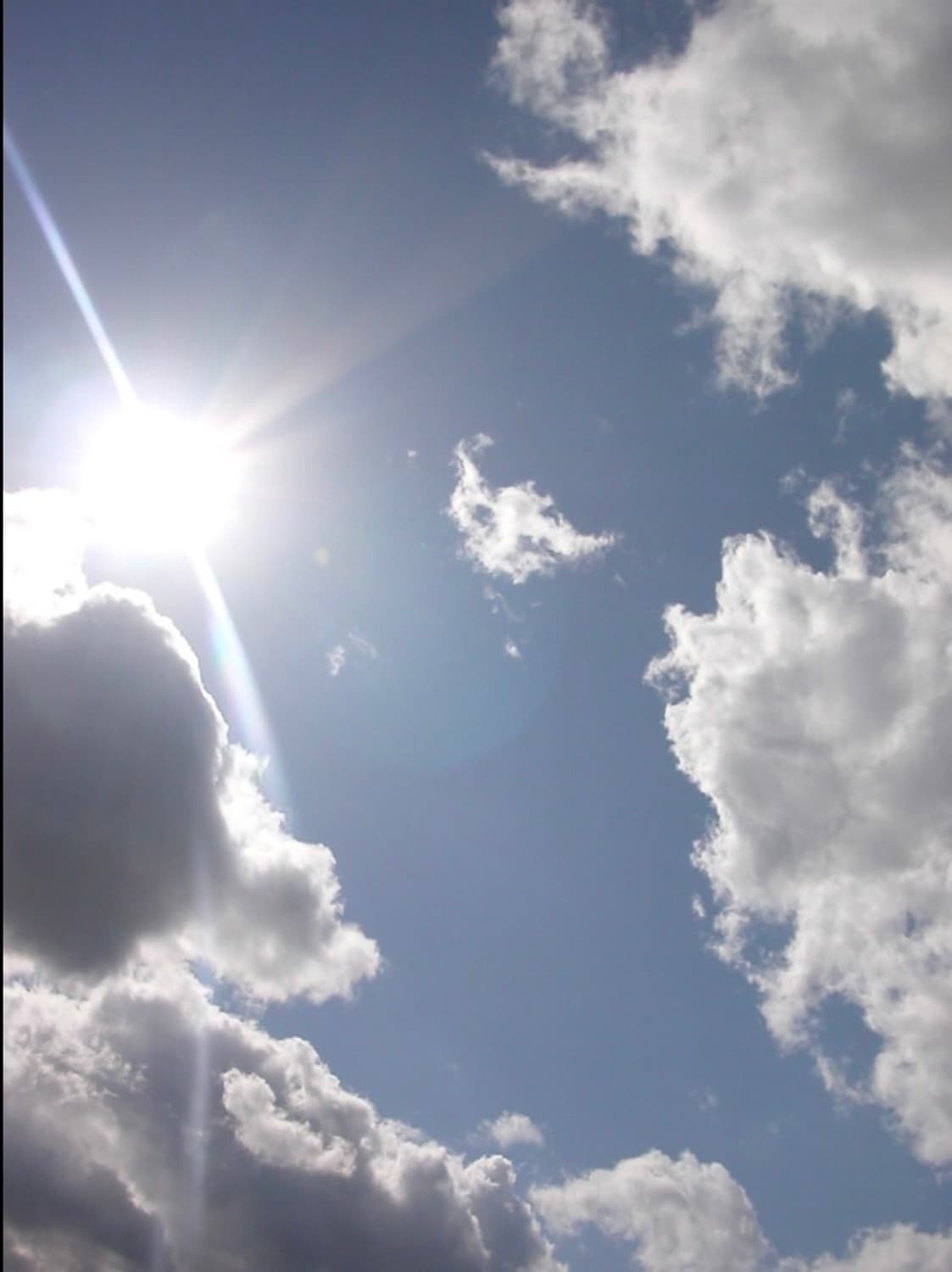 니콘 쿨픽스 2500 디카 상품이미지9