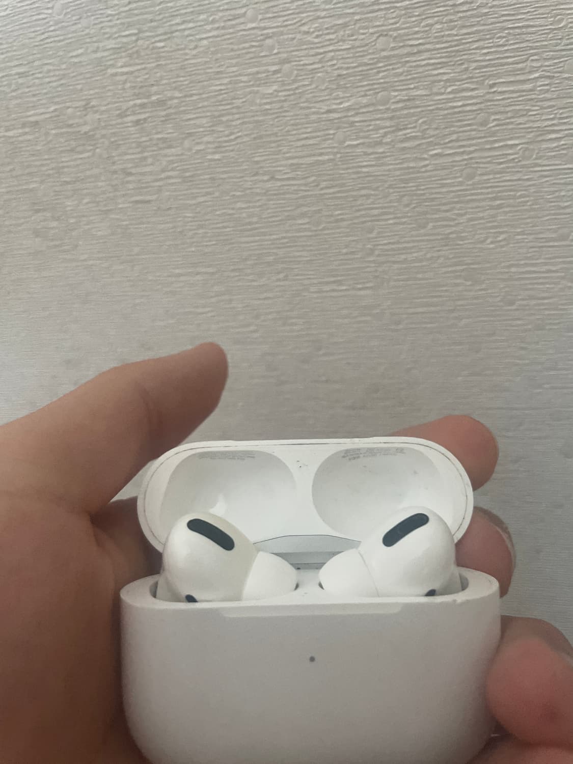 애플 에어팟 프로 1세대 상품이미지1