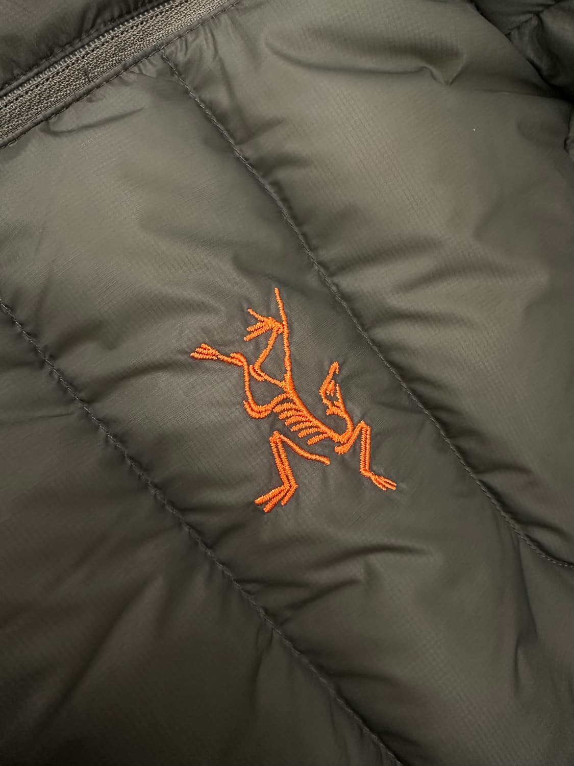 [L] 아크테릭스 세륨 포리지 베르베 상품이미지3