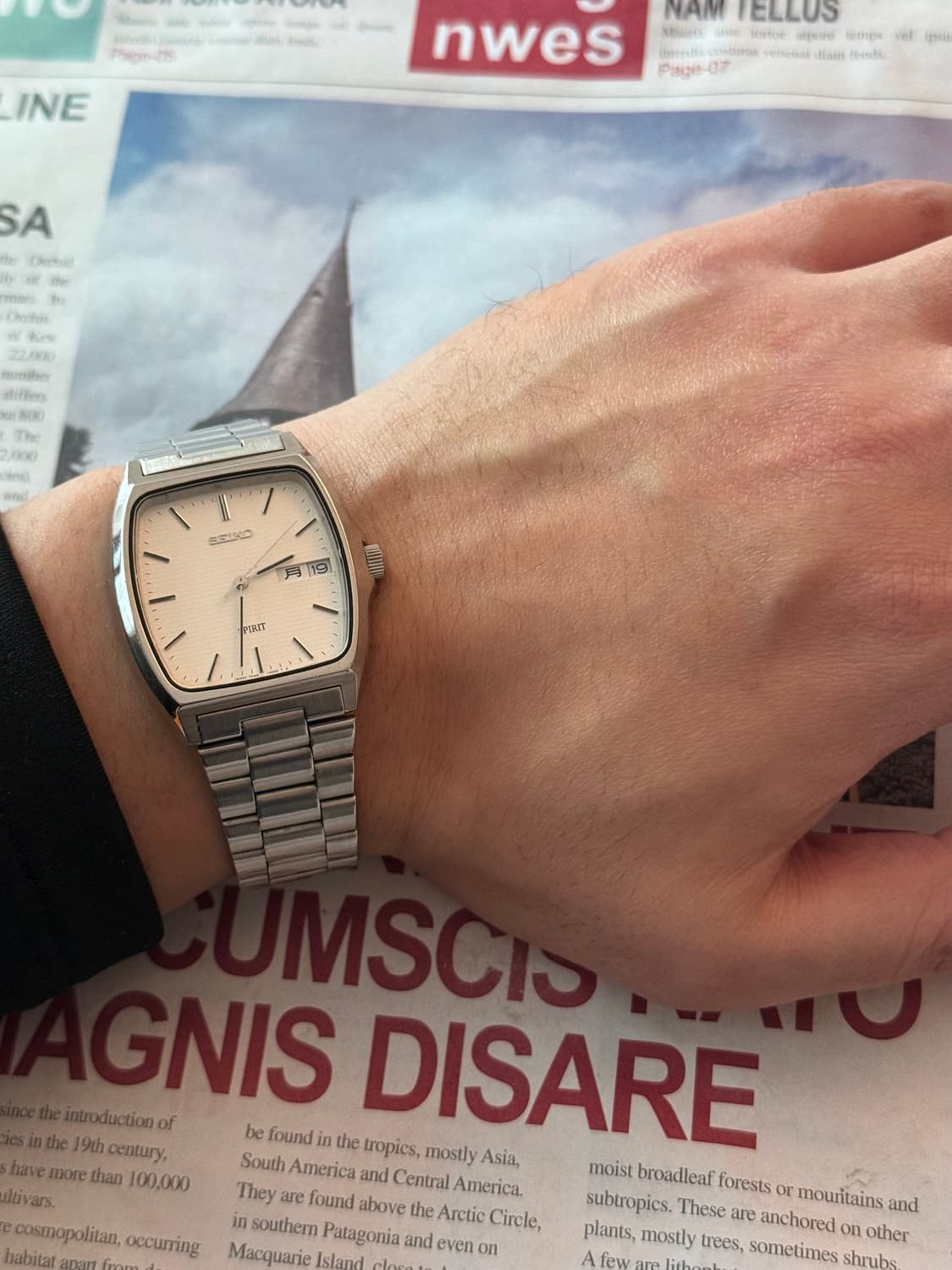 세이코 Seiko Sprit 스퀘어 데이데이트 상품이미지4