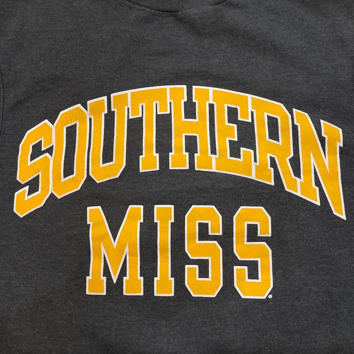 Champion 챔피온 유니버시티 프린팅 스웻셔츠 맨투맨  상품이미지4