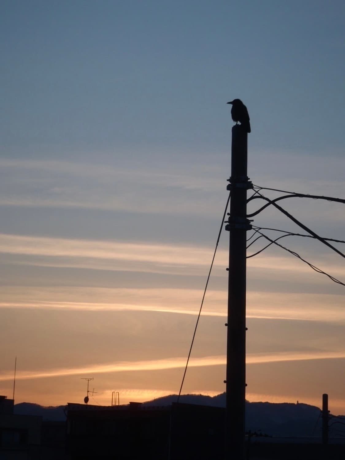 (풀박스)올림푸스 OLYMPUS Tough 8010 실버 상품이미지3