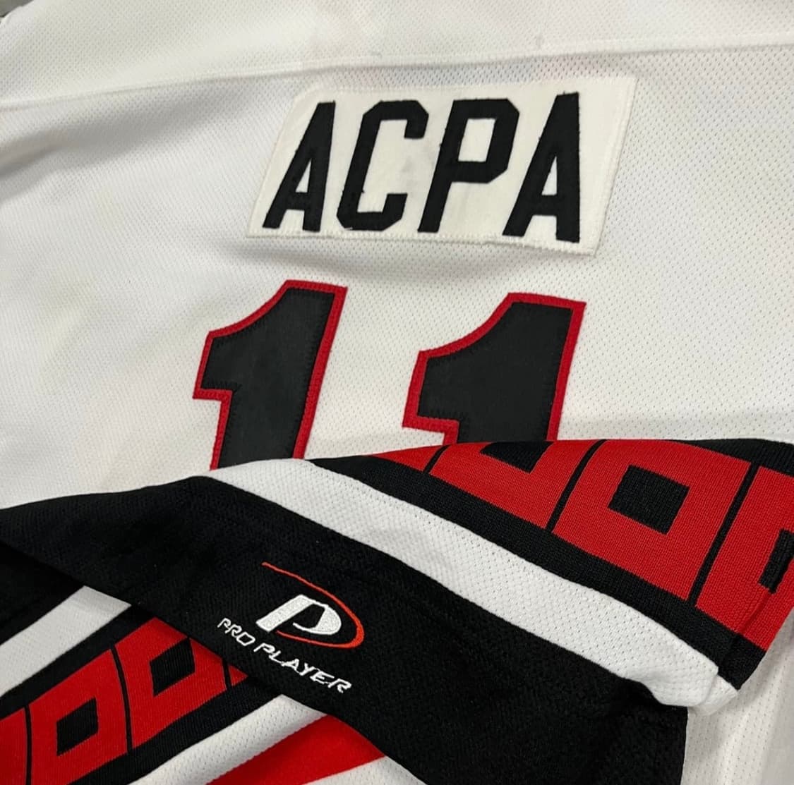 NHL 캐롤라이나 허리케인스 하키 져지 (110) 팝니다 상품이미지5