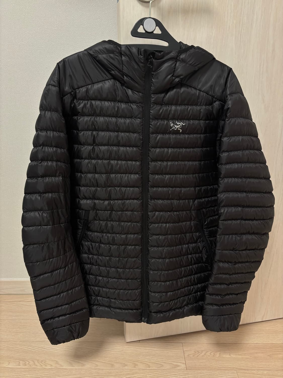 아크테릭스 세륨 sl 후디 상품이미지1