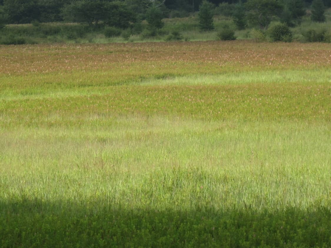 캐논 익서스 Canon IXUS 980 IS 블랙 상품이미지2