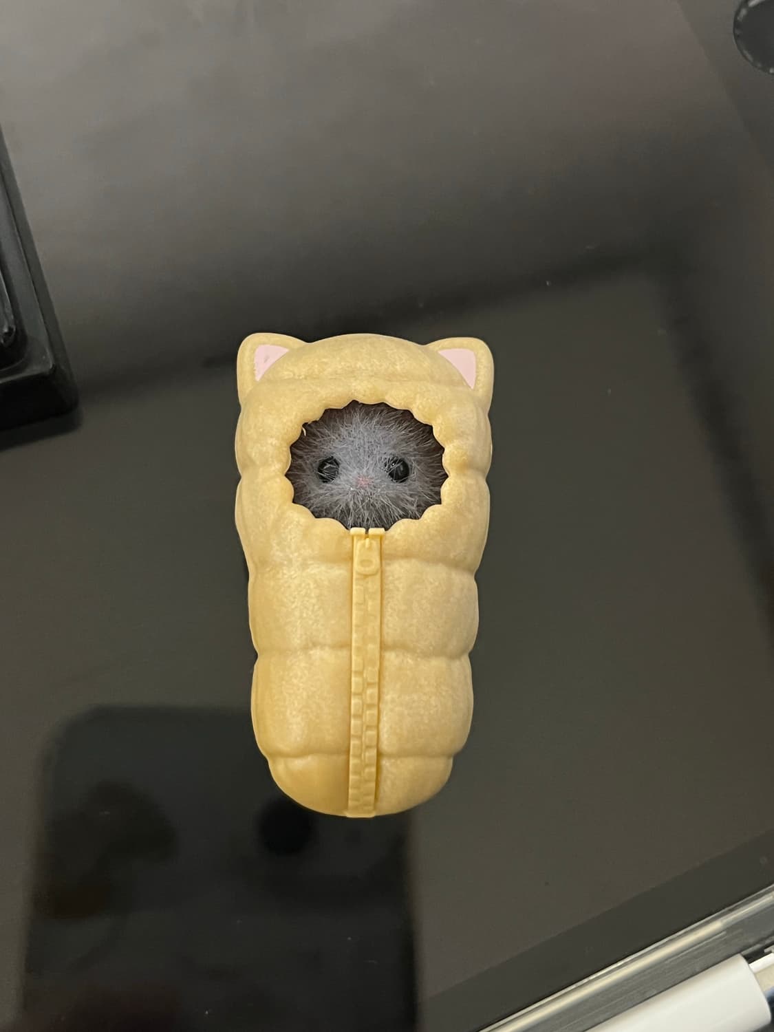 실바니안 블라인드백 페르시안 침낭 고양이 상품이미지1