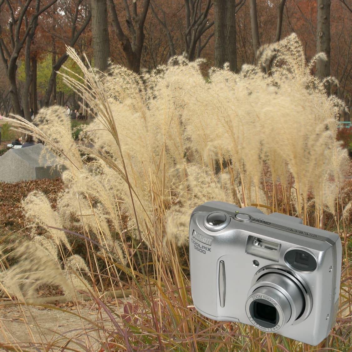 Coolpix 5600 (✨민트급/🎁풀패키지) 상품이미지4