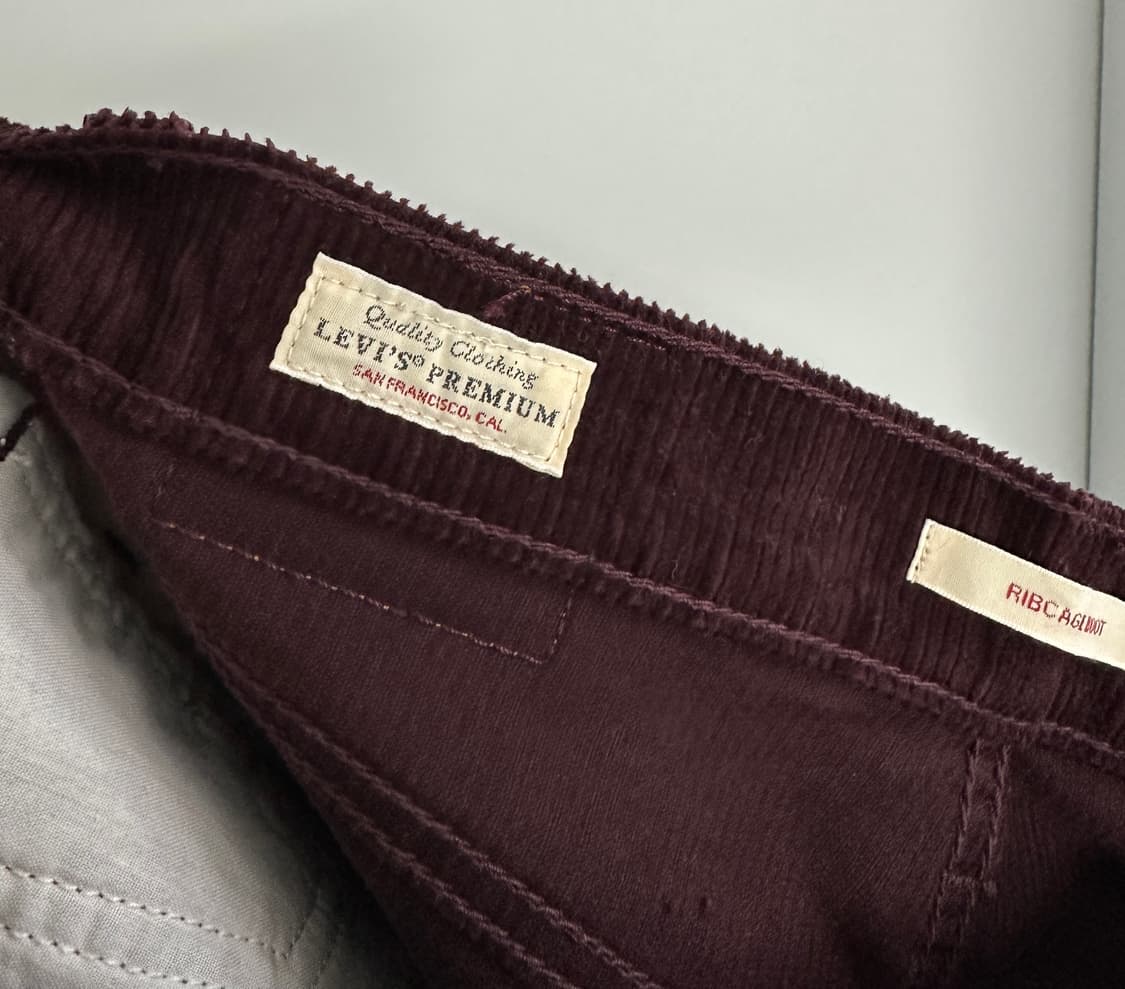 [리바이스] 프리미엄 빅E 코듀로이 부츠컷 팬츠 상품이미지5